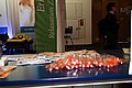 IMG_2354.JPG