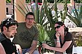 IMG_9677.JPG
