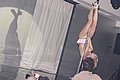 _DSF3744.JPG